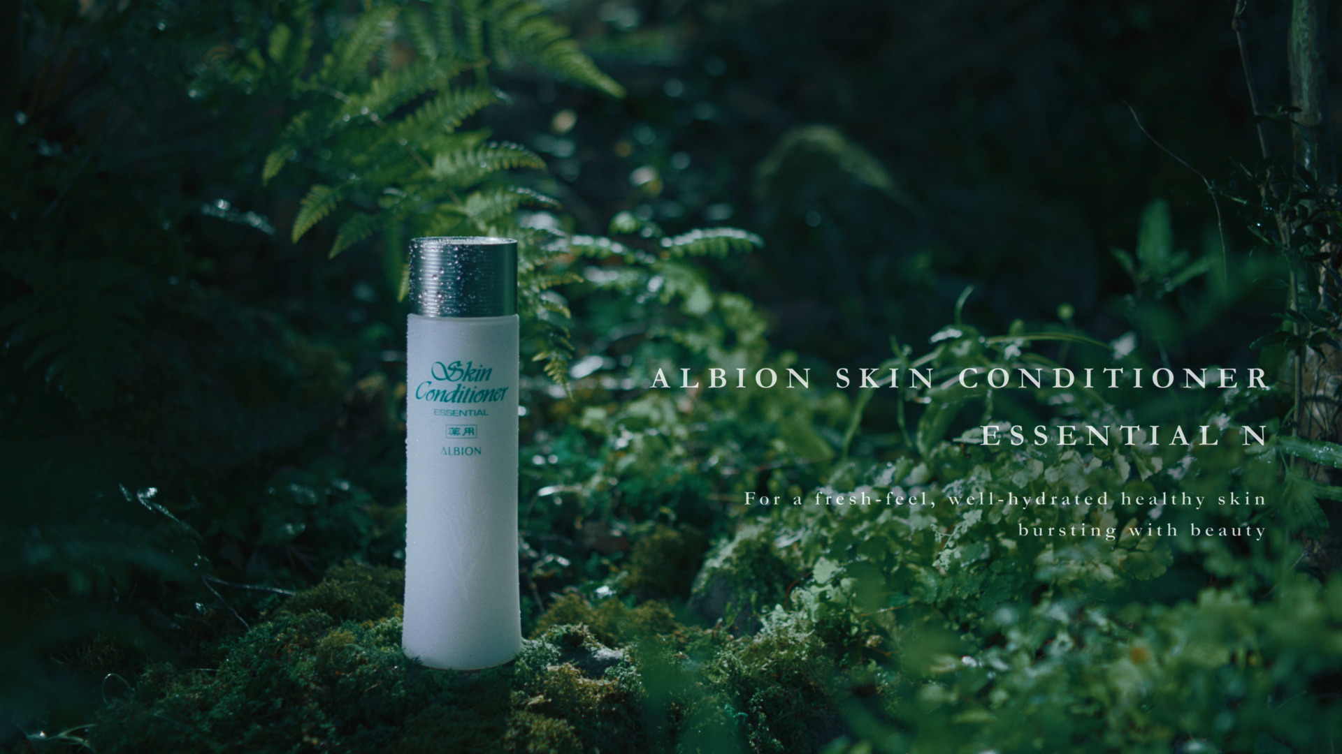 ALBION SKIN CONDITIONER ESSENTIAL N isai Inc.